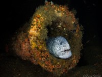 Diving a WWI German U-Boat