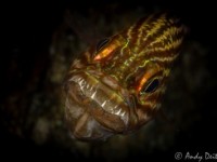 November Monthly Photo Contest Winners!
