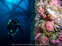 Epic Conditions on Bluewater Oil Rigs Trip