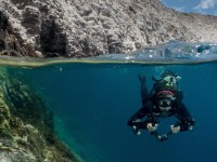 Shooting the Olympus M.Zuiko 8mm Fisheye Underwater