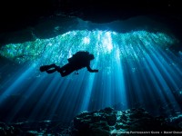 Diving the Mexico Cenotes