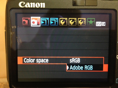 Which Color Space to Use on the Nikon D3400? sRGB or Adobe RGB?