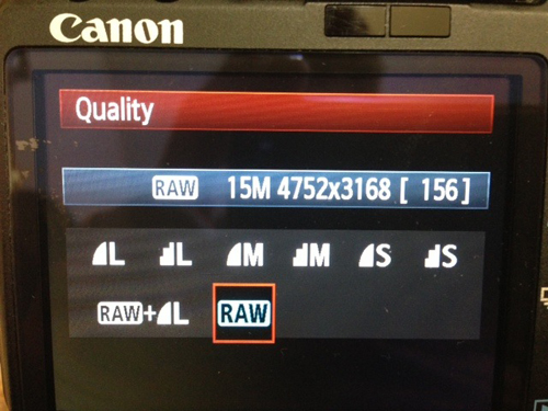 Why You Should Shoot In RAW