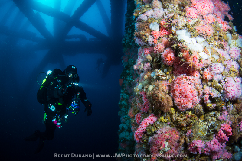 Epic Conditions on Bluewater Oil Rigs Trip