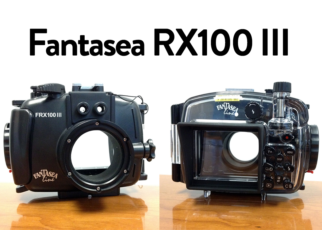 Fantasea RX100 III Underwater