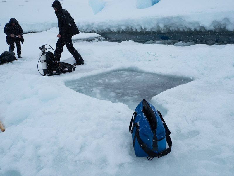 One of My Favorite Underwater Photography Accessories – the AO Cooler Bag