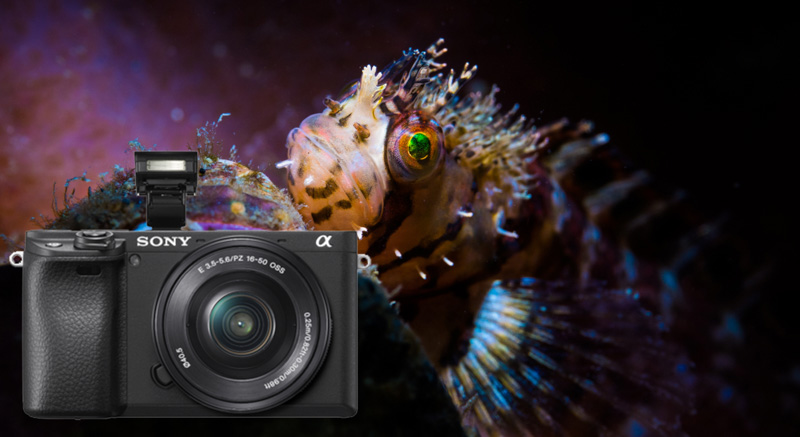 The Future of Underwater Photography